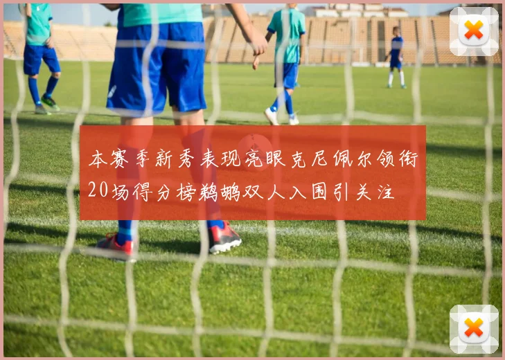 本赛季新秀表现亮眼克尼佩尔领衔20场得分榜鹈鹕双人入围引关注