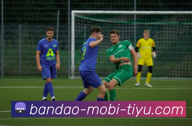 半岛体育品牌故事