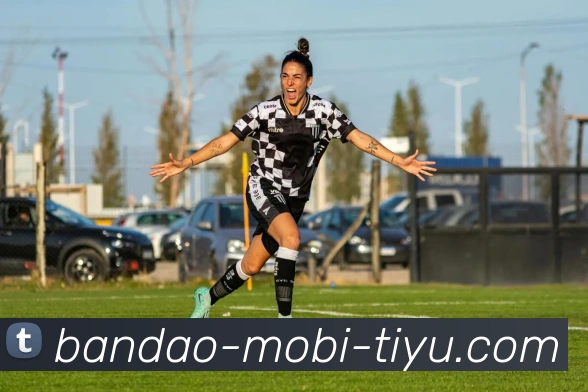 半岛体育服务体系